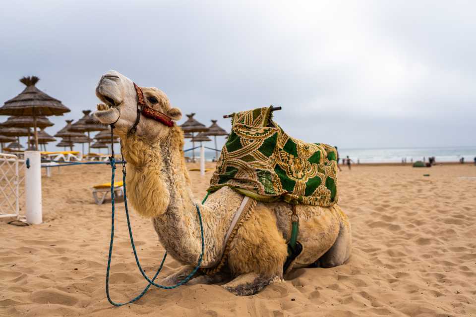 To Morocco